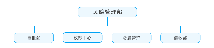 风险管理组织架构